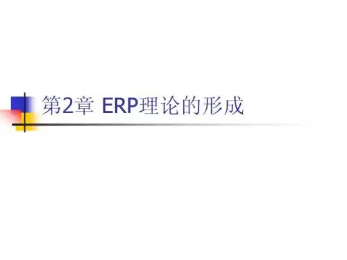 第2章 ERP理论的形成
