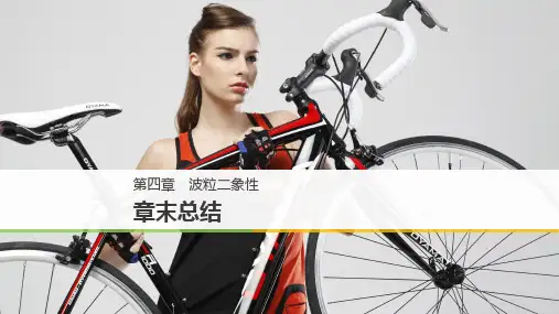 教科版选修3-5 第4章 章末总结 波粒二象性