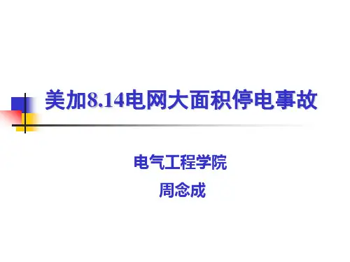 大停电事故资料