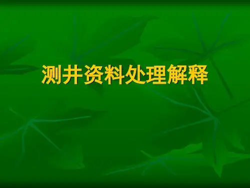 测井资料处理解释