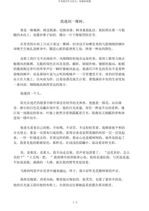 中考满分作文范文：美丽的相遇