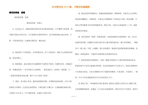 菊花的优美段落