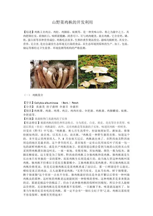 鸡枞