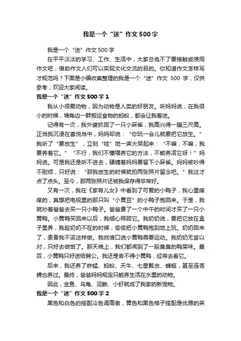 我是一个“迷”作文500字