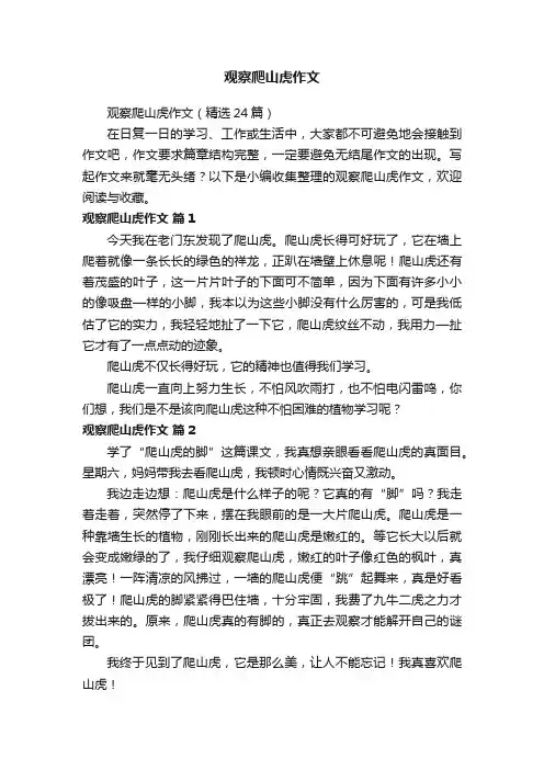 观察爬山虎作文（精选24篇）