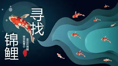 寻找幸运锦鲤活动方案策划PPT模板