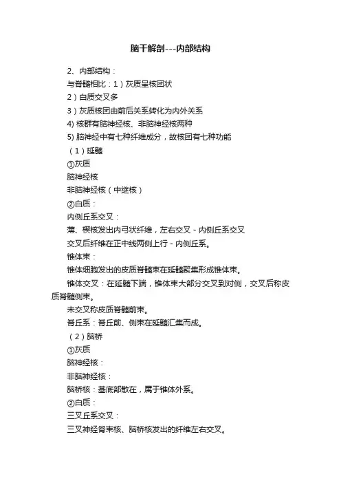 脑干解剖---内部结构