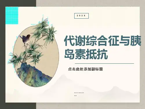 代谢综合症与胰岛素抵抗