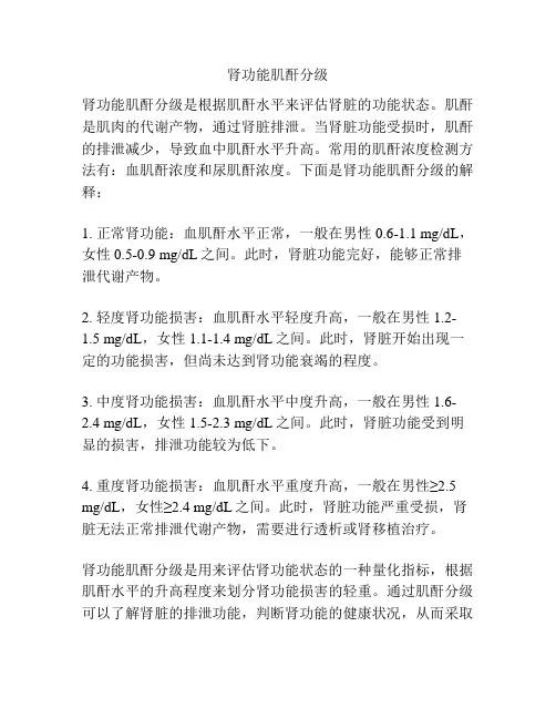 肾功能肌酐分级