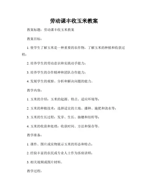 劳动课丰收玉米教案