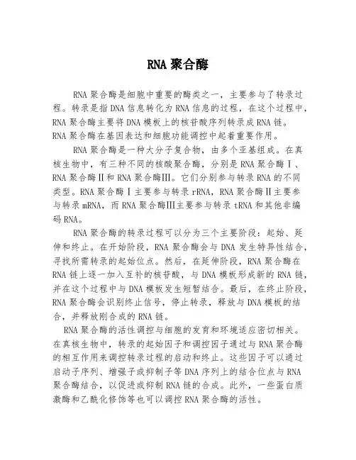 RNA聚合酶