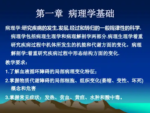 病理学基础