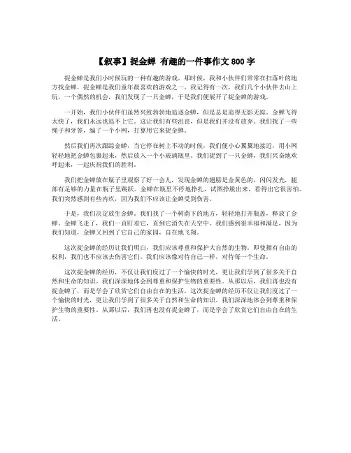 【叙事】捉金蝉 有趣的一件事作文800字