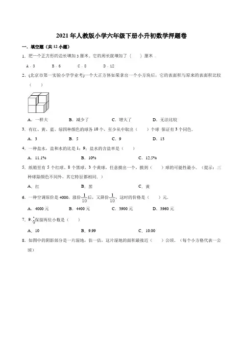 2021年人教版小学六年级下册小升初数学押题卷4(解析版)