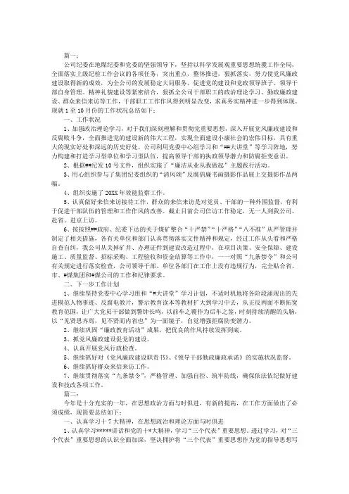 2019年纪委工作总结范文