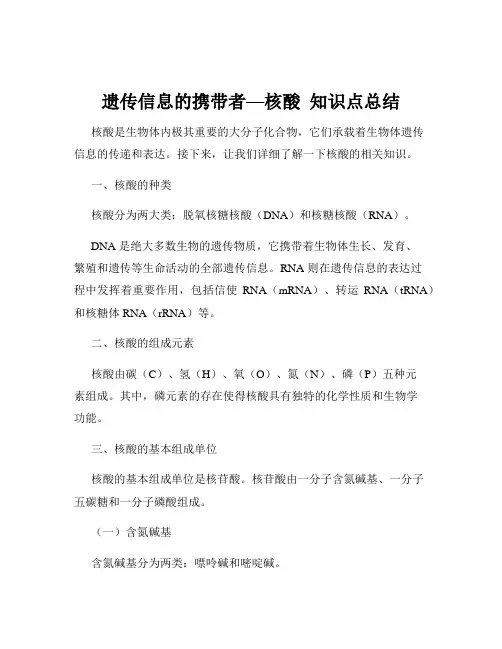遗传信息的携带者—核酸  知识点总结