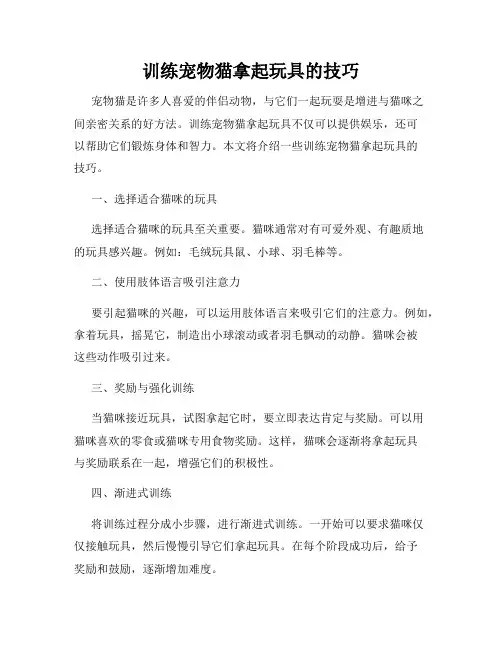 训练宠物猫拿起玩具的技巧
