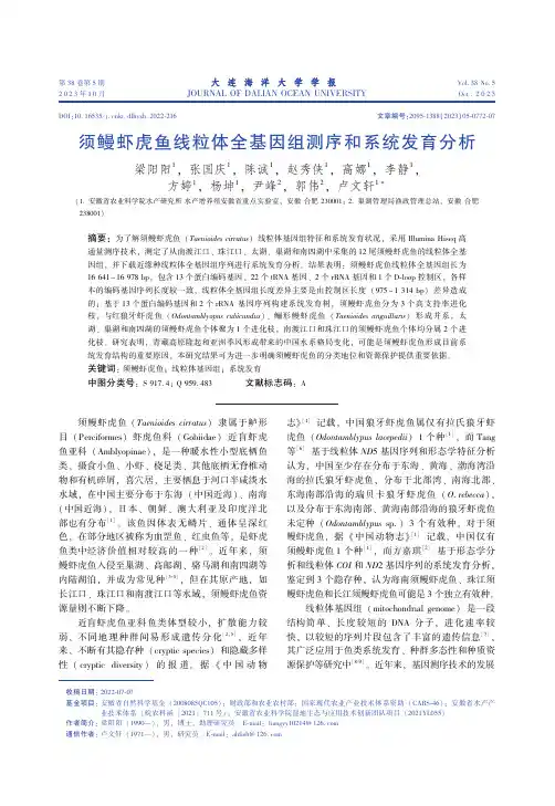 须鳗虾虎鱼线粒体全基因组测序和系统发育分析