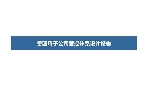 集团母子公司管控体系设计报告