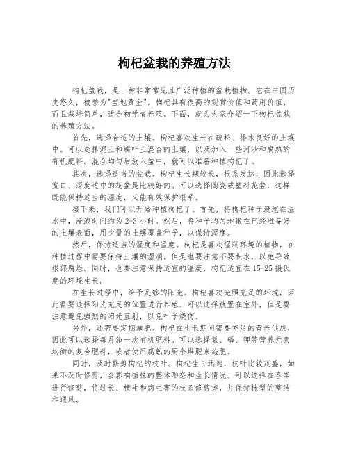枸杞盆栽的养殖方法