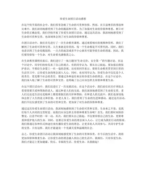 珍爱生命团日活动感想