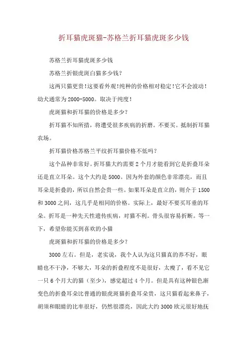 折耳猫虎斑猫-苏格兰折耳猫虎斑多少钱