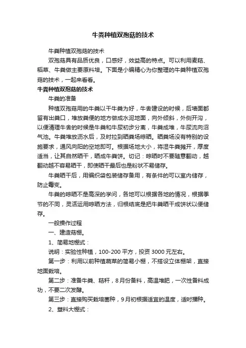 牛粪种植双孢菇的技术
