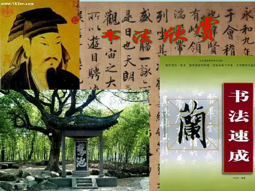 知名书法家书法作品欣赏PPT课件