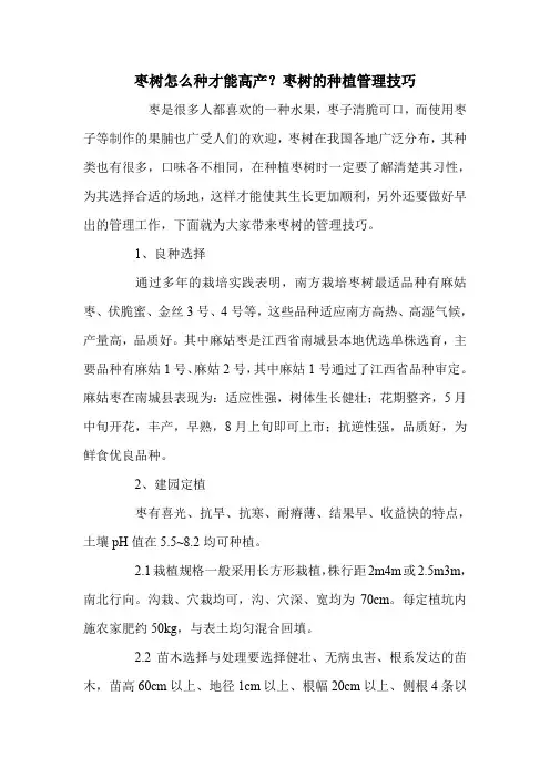 枣树怎么种才能高产？枣树的种植管理技巧.doc