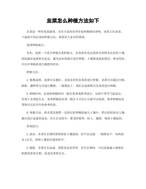 韭菜怎么种植方法如下