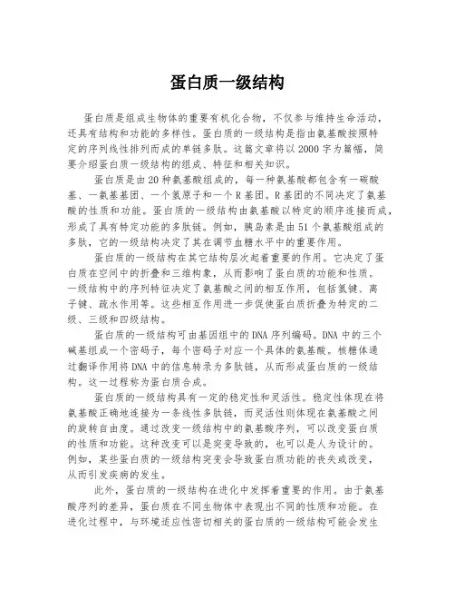 蛋白质一级结构