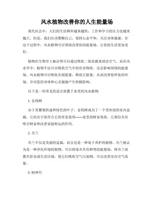 风水植物改善你的人生能量场