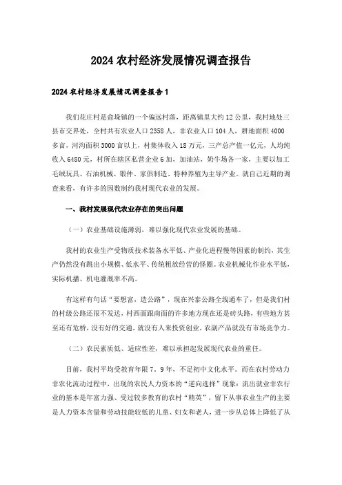 2024农村经济发展情况调查报告