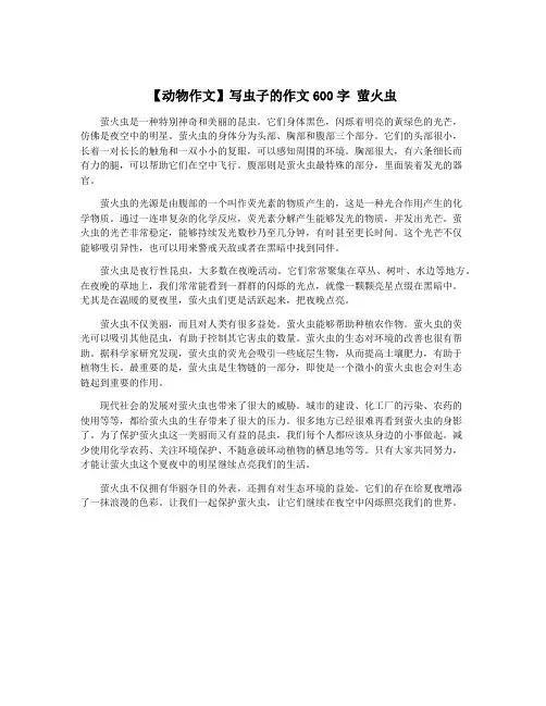 【动物作文】写虫子的作文600字 萤火虫