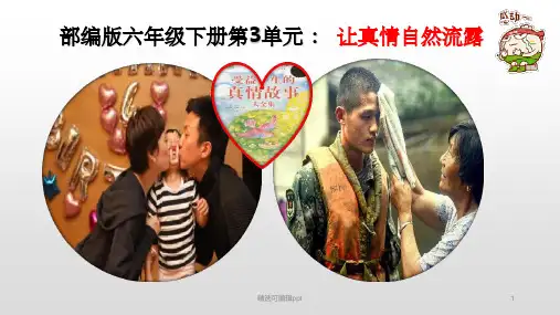 第3单元作文让真情自然流露(思维导图)