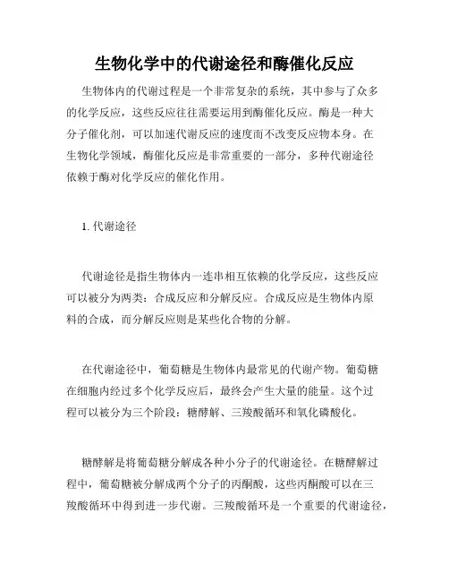 生物化学中的代谢途径和酶催化反应