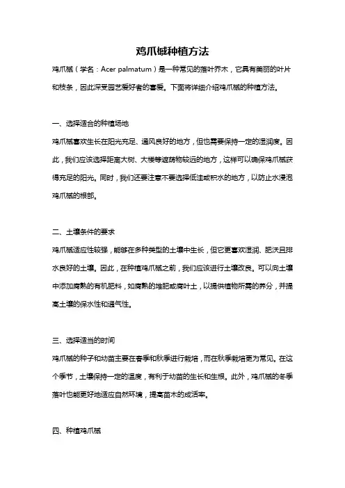 鸡爪槭种植方法