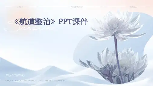 《航道整治》课件