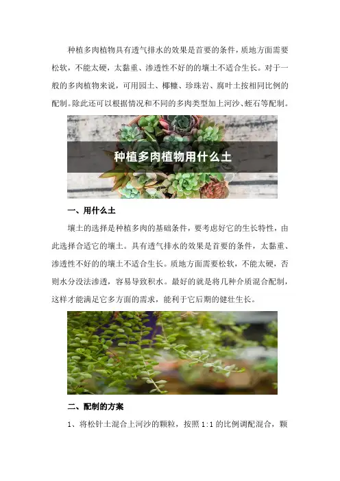 种植多肉植物用什么土