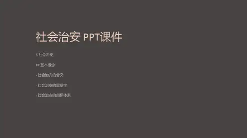 《社会治安》课件
