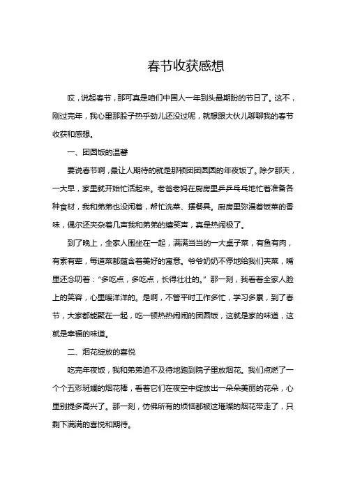 春节收获感想
