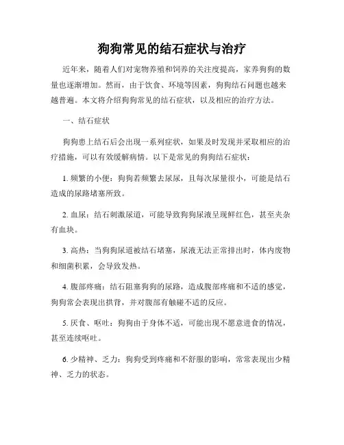狗狗常见的结石症状与治疗