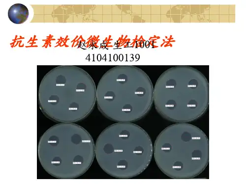 抗生素效价的测定