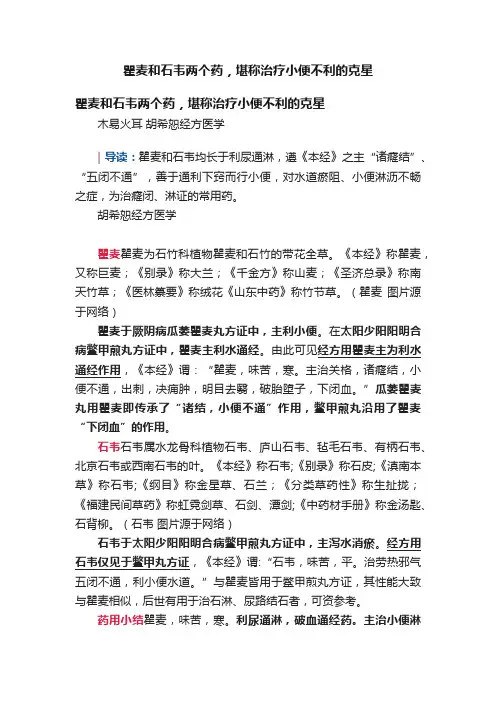 瞿麦和石韦两个药，堪称治疗小便不利的克星