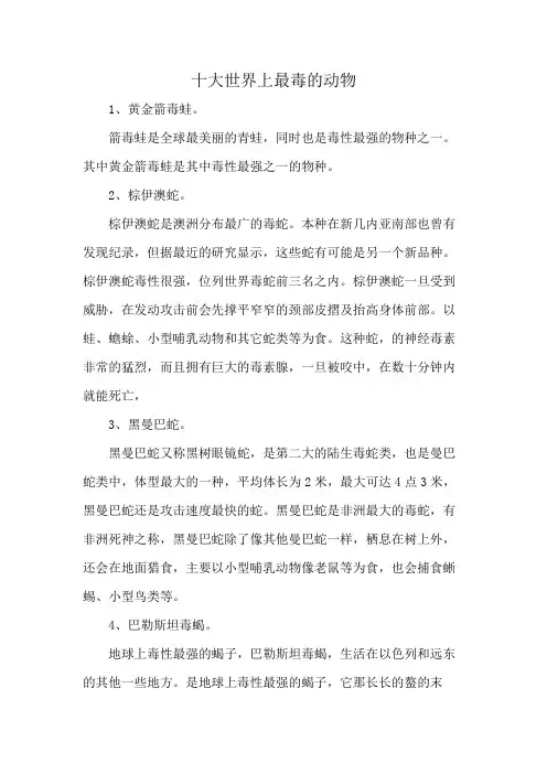 十大世界上最毒的动物