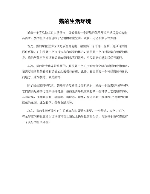 猫的生活环境
