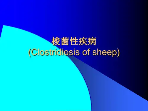 羊梭菌性疾病PPT课件