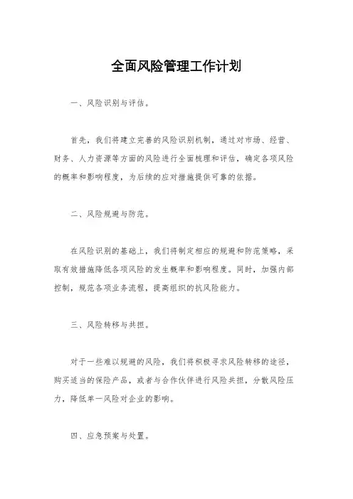 全面风险管理工作计划
