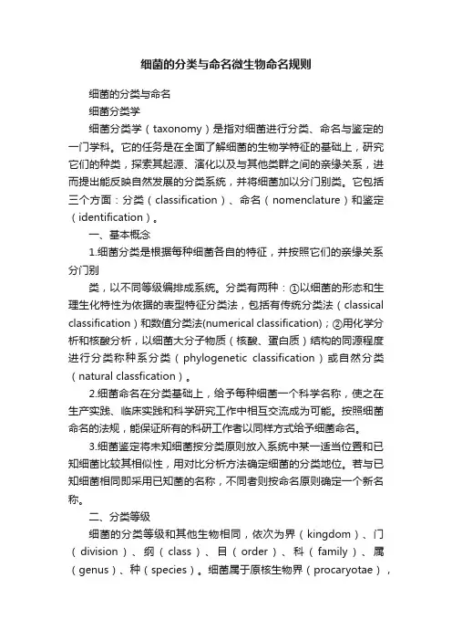 细菌的分类与命名微生物命名规则