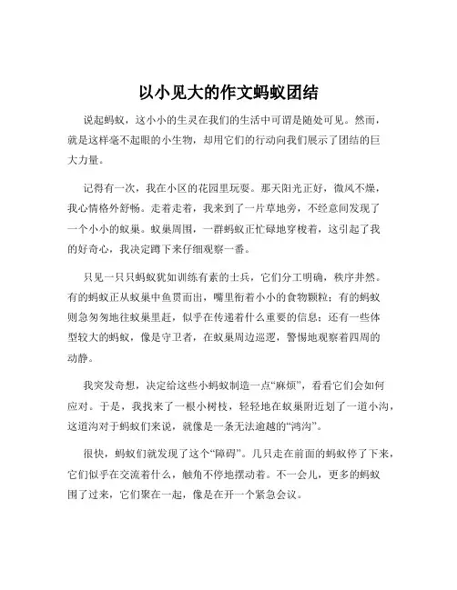 以小见大的作文蚂蚁团结